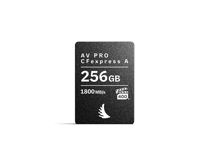 CFexpress Type A memory card with 256 GB capacity displayed on a neutral background.
