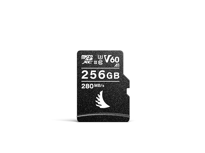AV PRO microSD V60 memory card with 256 GB capacity displayed on a neutral background.