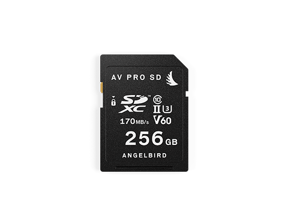 B-Stock_Overview_SD-V60-MK1_256GB