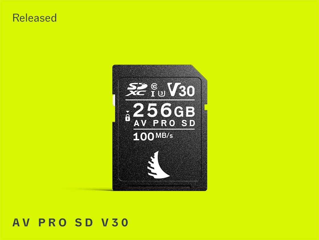 AV PRO SD V30 256 GB memory card displayed on a yellow background